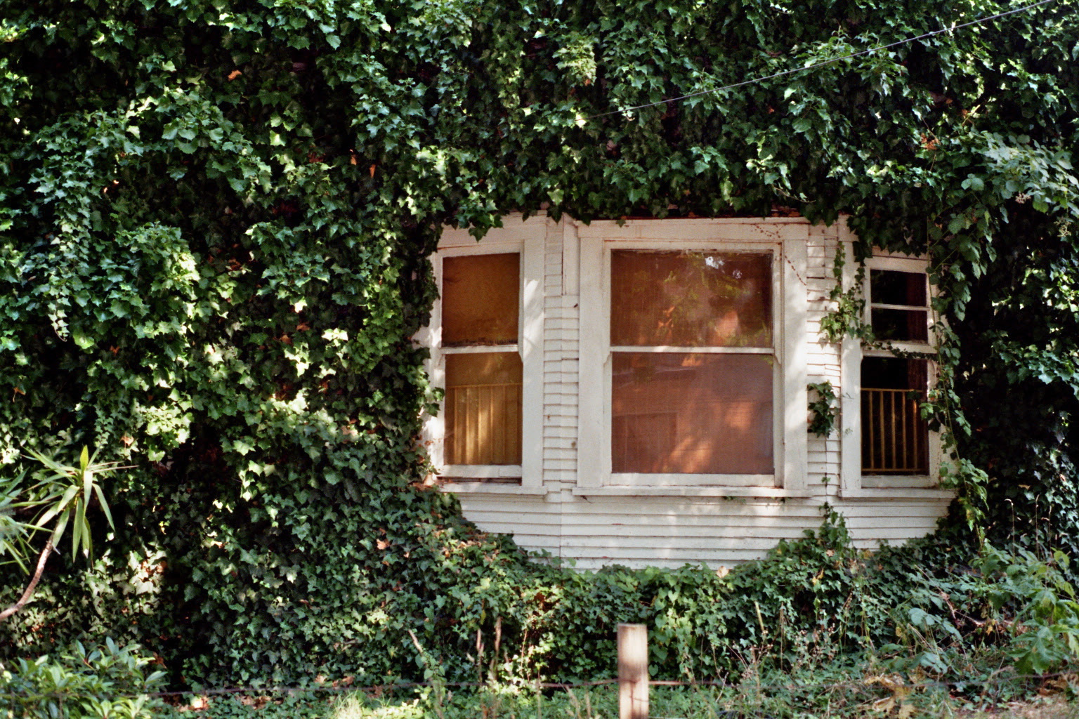 a good window in Vancouver