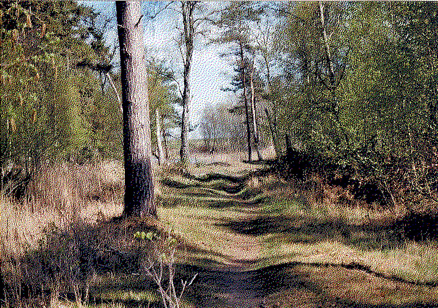 somewhere in denmark, 2019